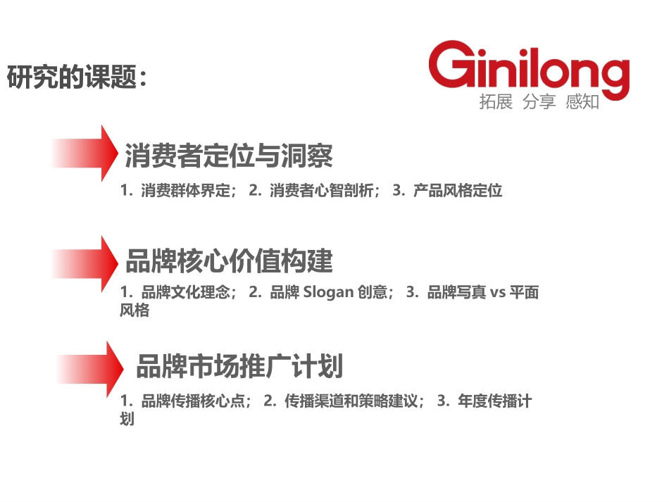 为一个品牌策划做的定位方案_第2页