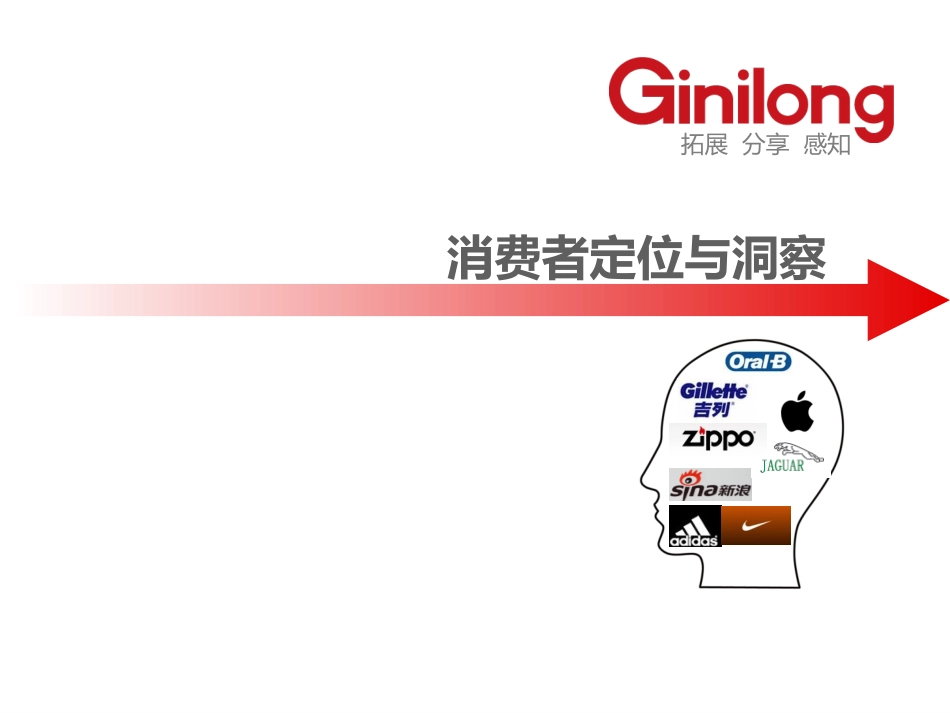 为一个品牌策划做的定位方案_第3页