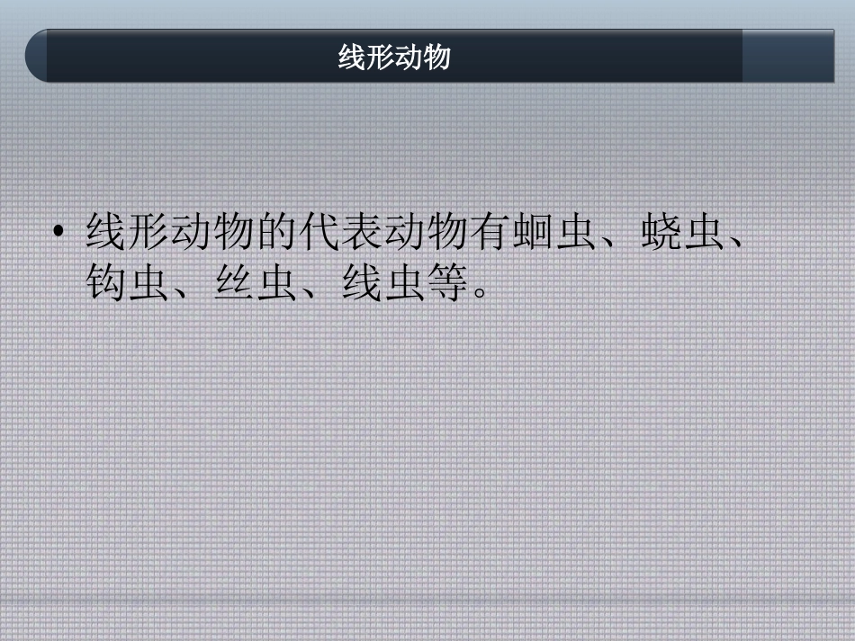 线形动物和环节动物_第3页