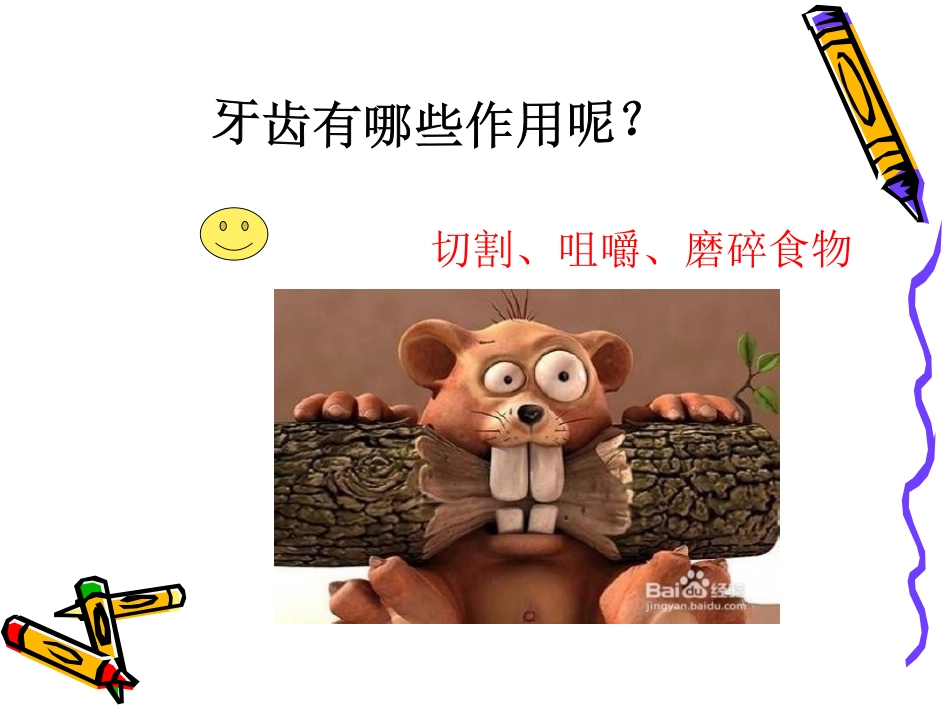学会正确的刷牙  _PPT_第3页