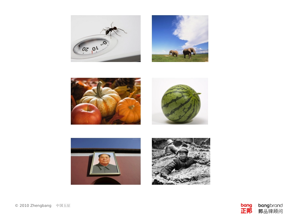 品牌命名方案_第3页