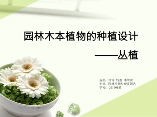 植物种植设计——丛植