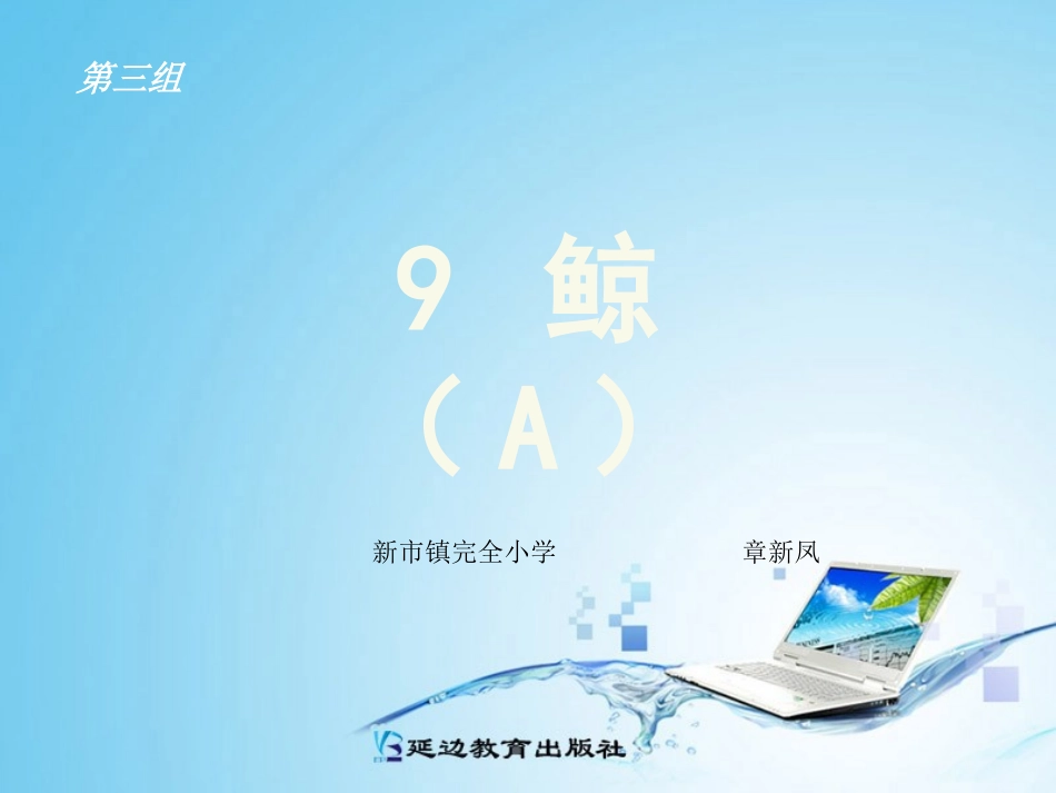 章新凤鲸PPT_第1页