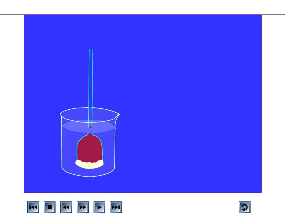 物质跨膜运输实例(优质课)_第3页