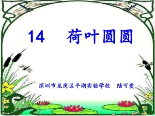 （人教版）一年级语文课件荷叶圆陆可爱