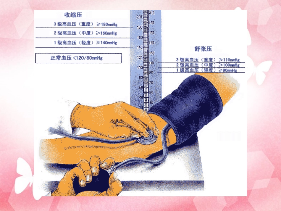 高血压与饮食疗法_第3页