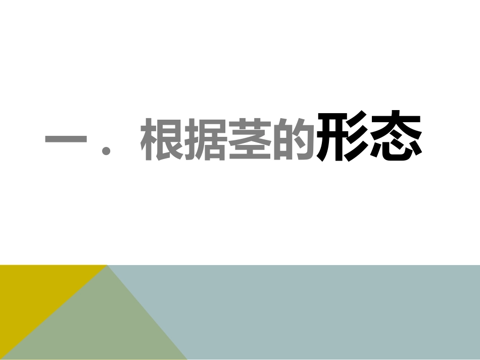 植物不同类型的茎_第2页