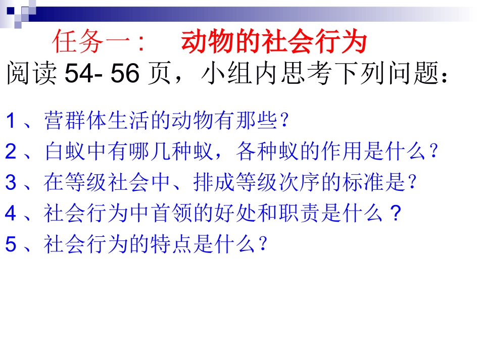 社会行为{新}_第3页