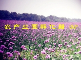 农产业园孵化器BP