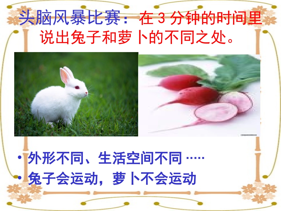 苏教版三年级科学上册《动物 植物 人》_第3页