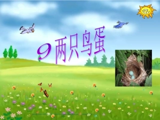 两只鸟蛋课件