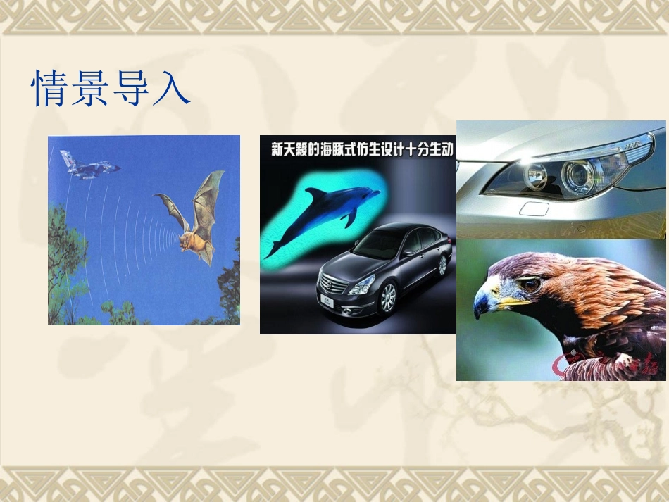 动物与仿生学-【自制PPT】_第2页