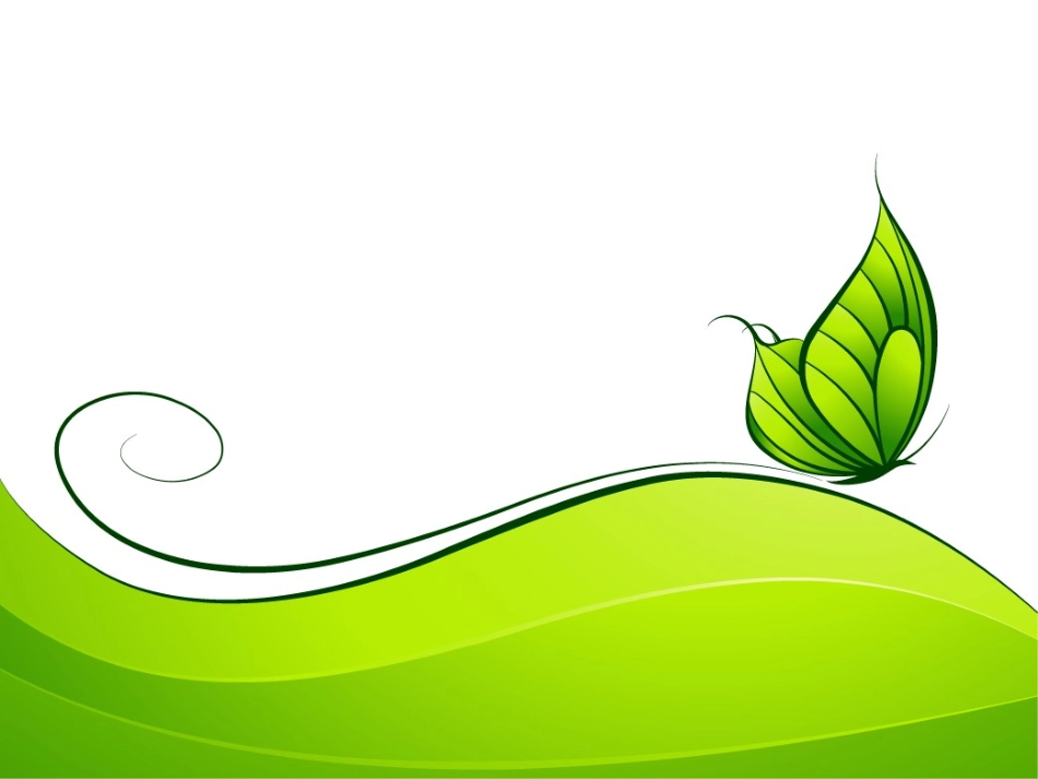 精美的绿色课件_第1页