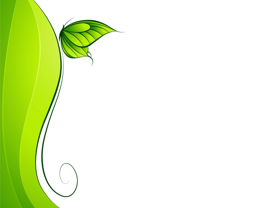 精美的绿色课件_第2页