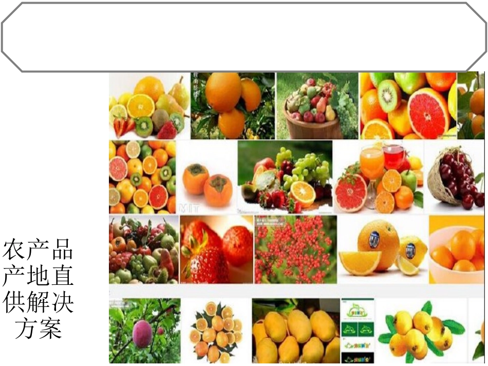农产品电商项目解决方案_第2页