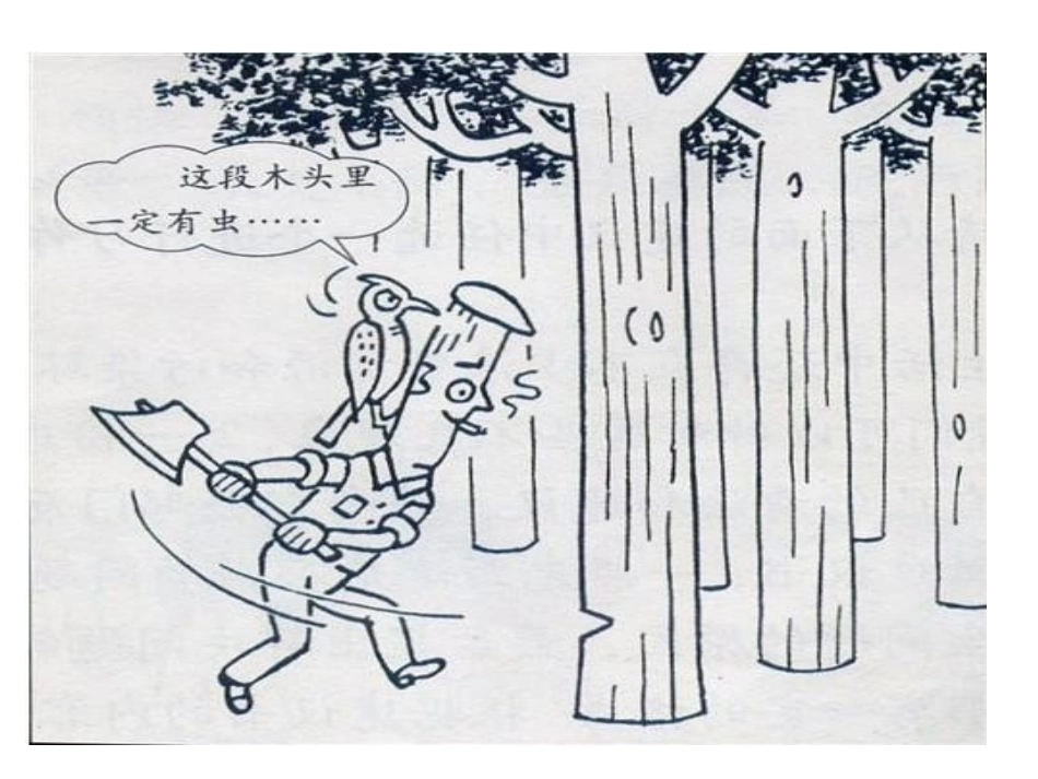 地球给人类敲响警钟_第3页