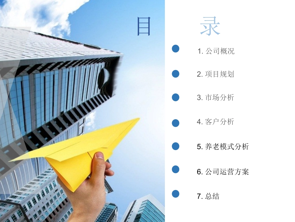 养老院运营策划_第2页