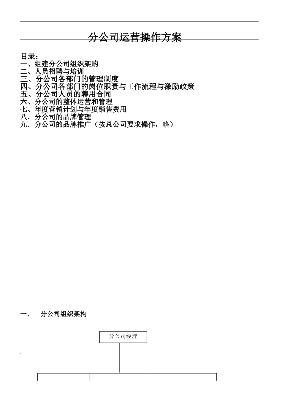 分公司运营方案_第1页