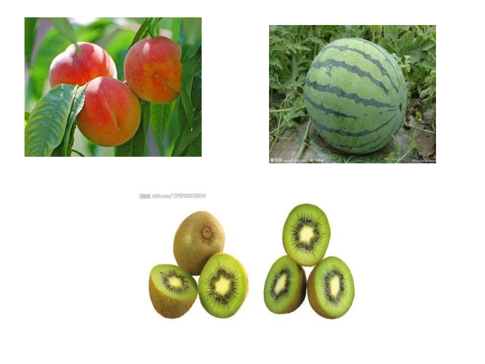 找一找夏天的水果_第2页