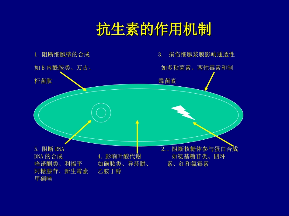 抗生素分类及合理应用_第2页