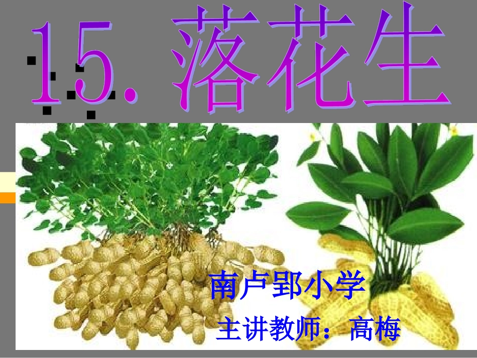 落花生PPT_第1页