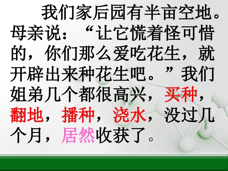 落花生PPT_第2页