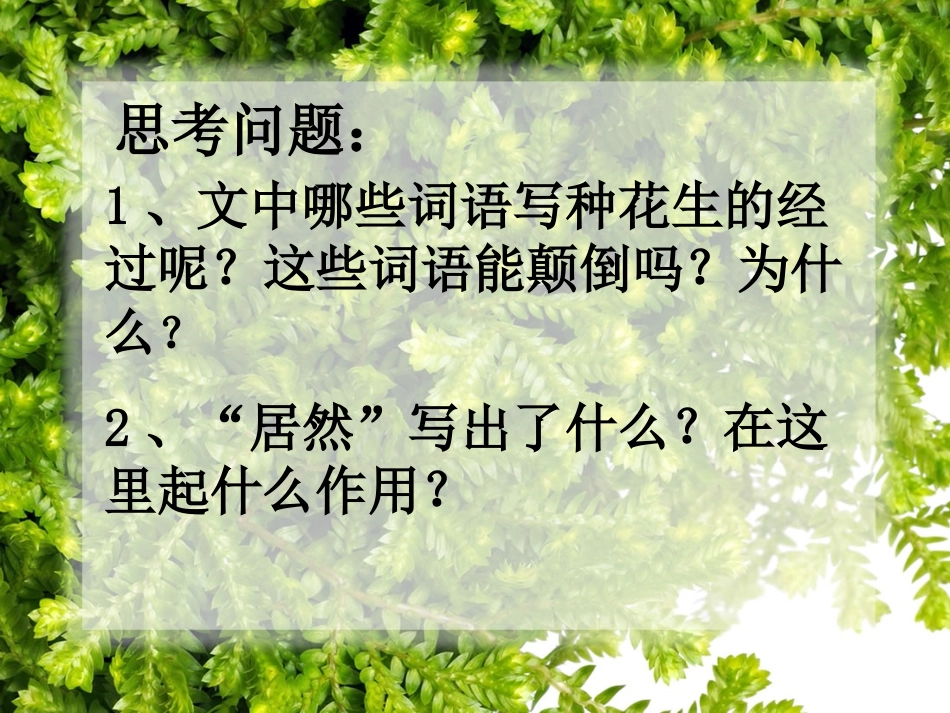 落花生PPT_第3页