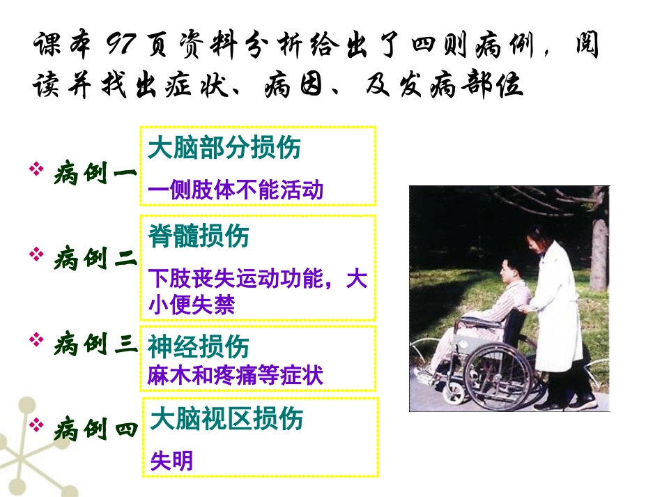 神经系统的组成ppt__第3页
