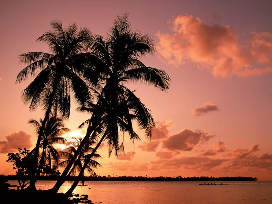 环保主题班会课件_第2页