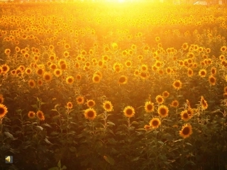 环保主题班会课件