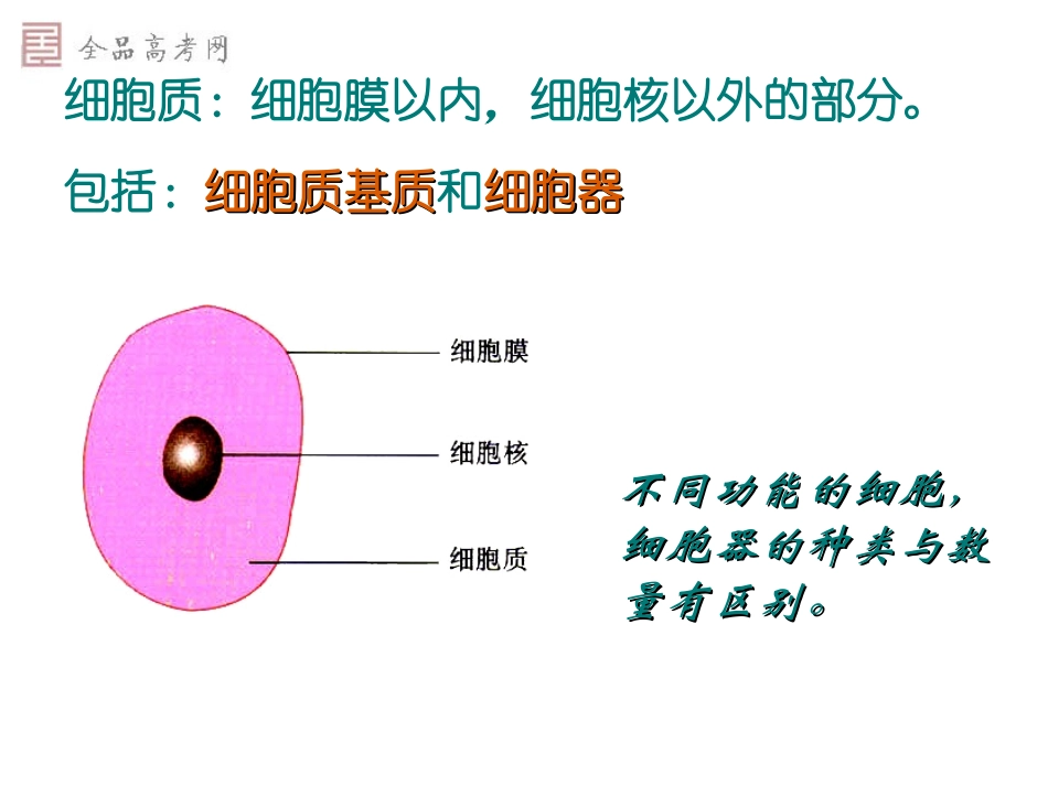 [课件]第09课细胞器──系统内的分工合作_第2页