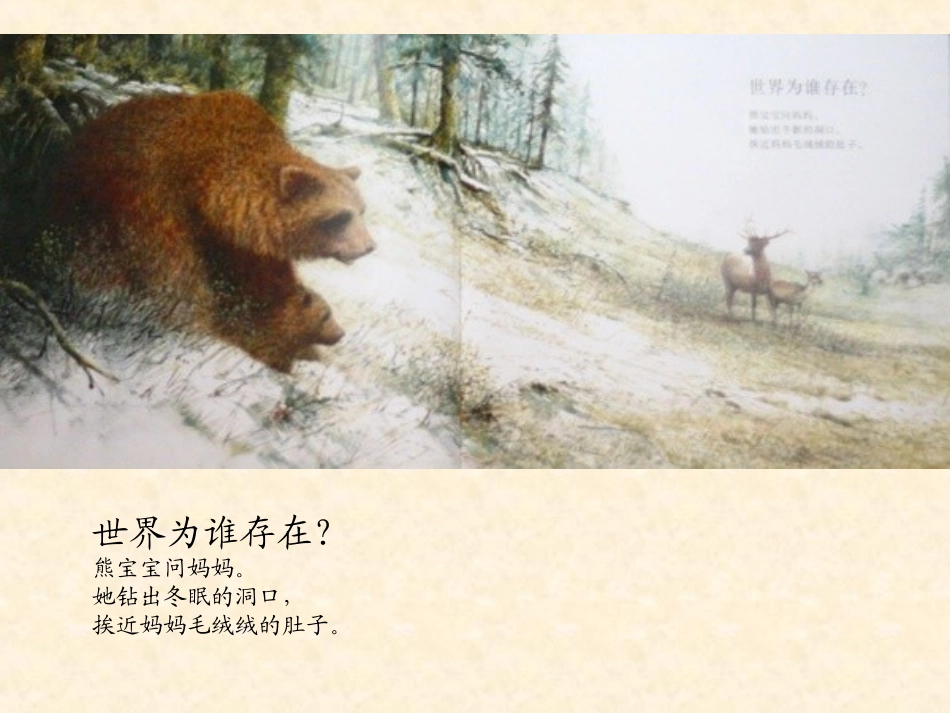 绘本欣赏：《世界为谁存在》_第2页