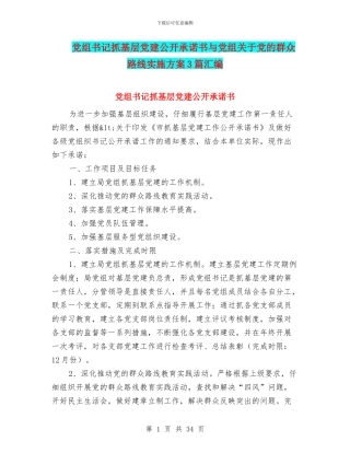 党组书记抓基层党建公开承诺书与党组关于党的群众路线实施方案3篇汇编
