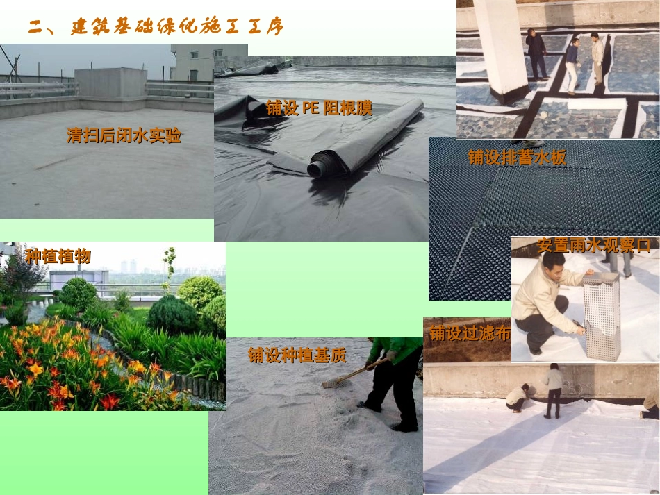 建筑绿化新技术及应用_第3页