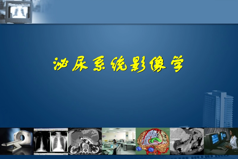 泌尿系统影像学_第1页