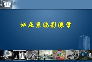 泌尿系统影像学