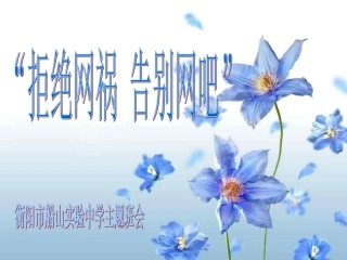 “拒绝网祸_告别网吧”_主题班会