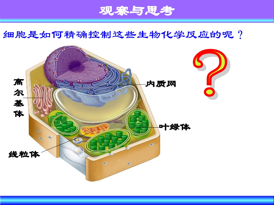 细胞核-系统的控制中心_第3页