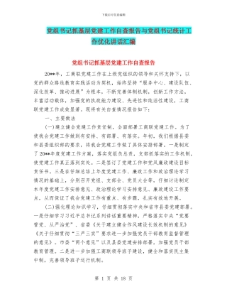 党组书记抓基层党建工作自查报告与党组书记统计工作优化讲话汇编