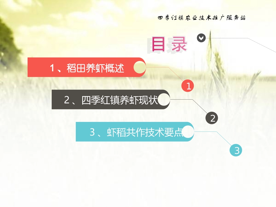 农村虾稻共作技术讲座课件_第2页