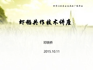 农村虾稻共作技术讲座课件