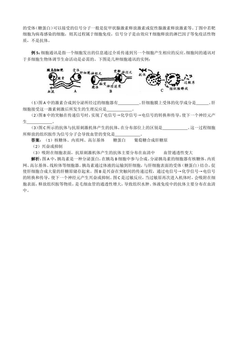 细胞间的信息交流 (2)_第3页