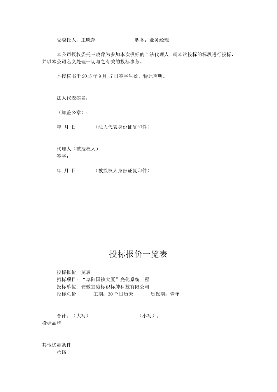 亮化工程标书样本_第2页