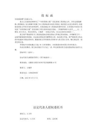 亮化工程标书样本