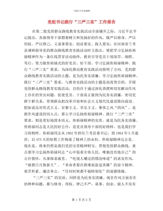 党组书记践行“三严三实”工作报告