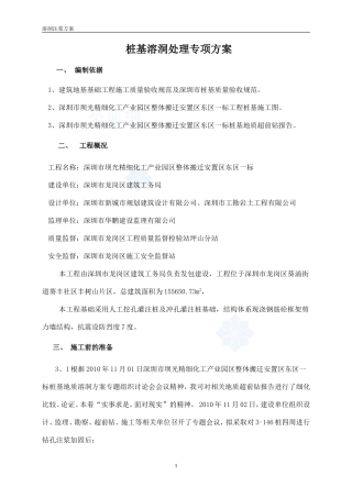 桩基溶洞处理专项方案(经专家论证)