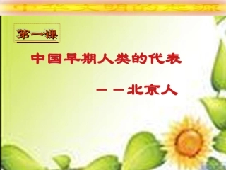 中国早期的人类代表--北京人