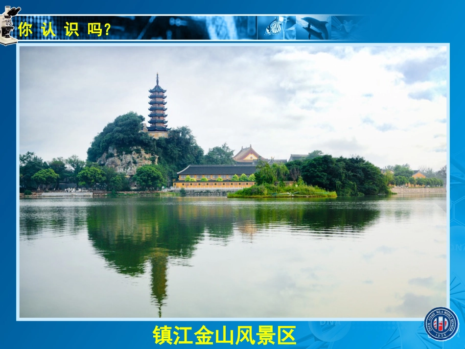 多种多样的生态系统_第2页