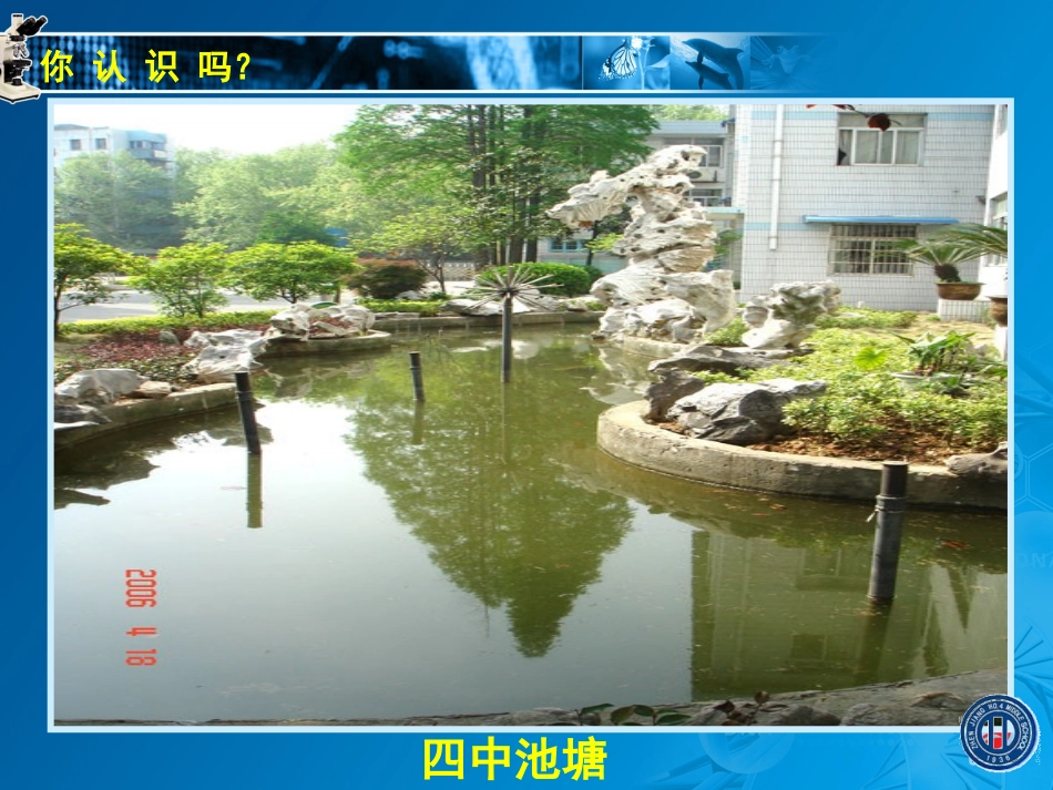 多种多样的生态系统_第3页