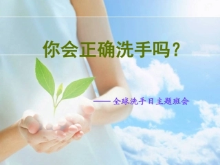 全球洗手日课件
